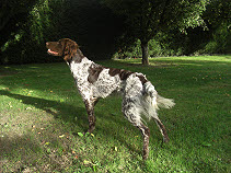 Eros du Domaine de l'Isle